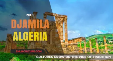 Exploring the Enchanting Beauty of Djamila in Algeria's Rich Culture