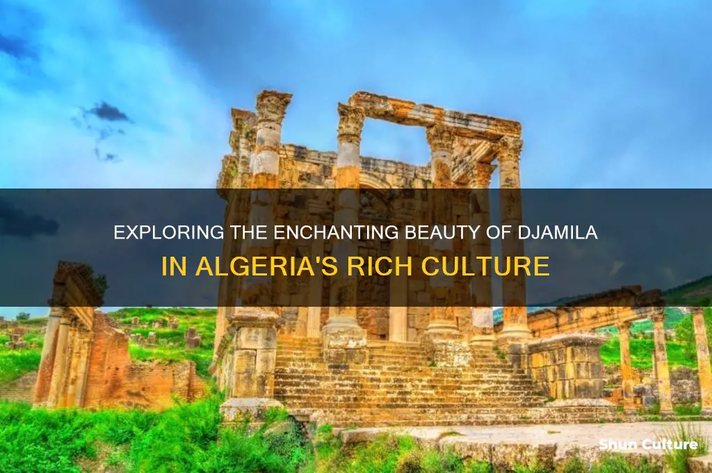 por el djamila algeria