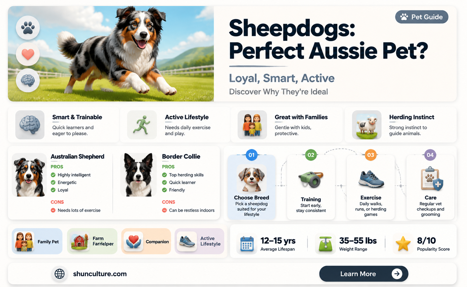 are australian sheepdogs good pets