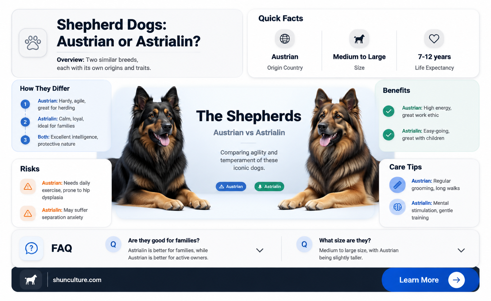 are astrialin shepherd dogs from austria
