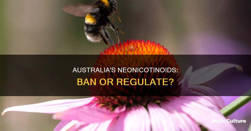 should australia ban neonicotinoids