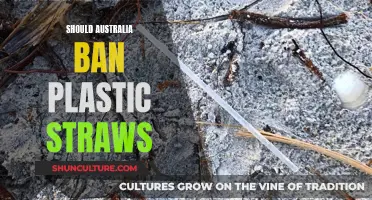 A Straw-Free Australia: Pros and Cons