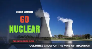 Should Australia Embrace Nuclear Power? Pros, Cons, and Future Implications