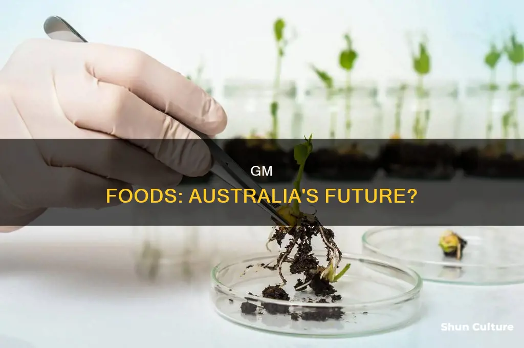 should australia grow genetically modified foods