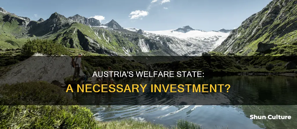 should austria have welfare