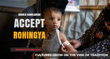 Bangladesh and the Rohingya Crisis: Moral Duty or National Burden?