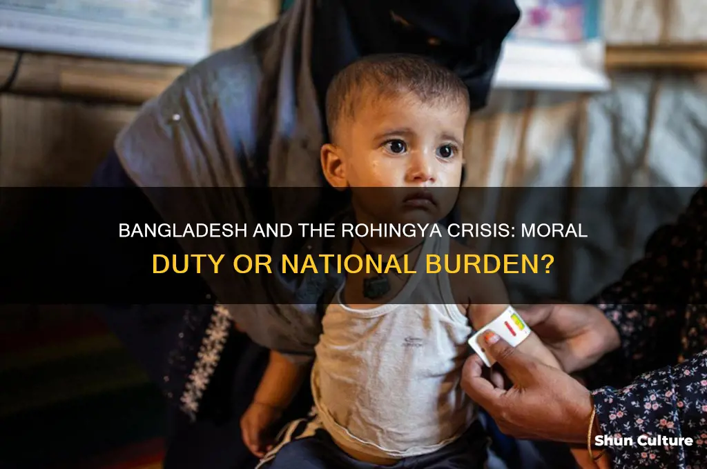 should bangladesh accept rohingya