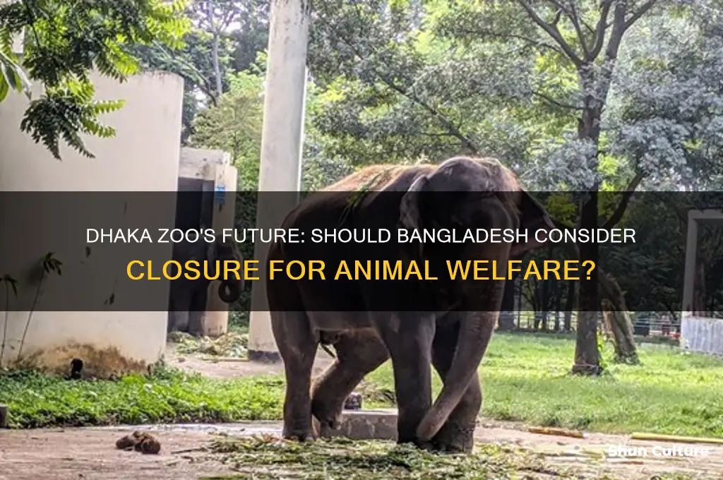 should bangladesh close dhaka zoo