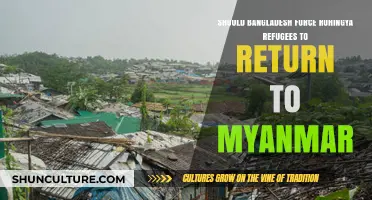 Bangladesh's Dilemma: Forcing Rohingya Refugees Back to Myanmar?