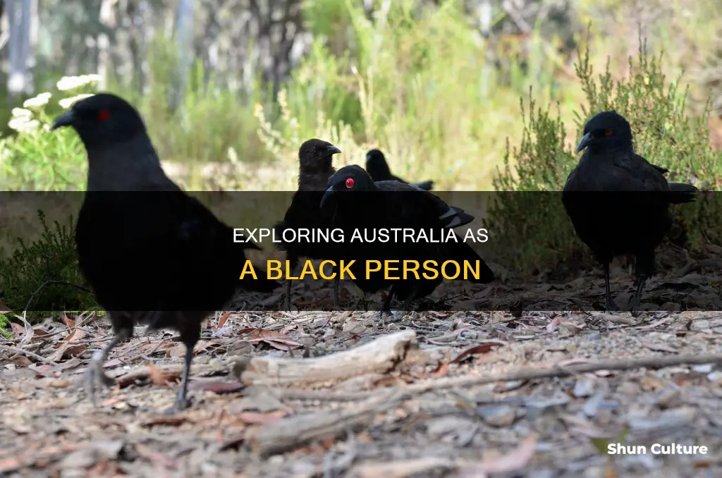should black people go to australia