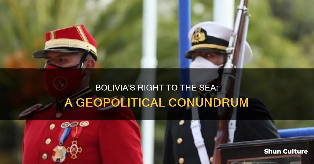 should bolivia have access to the sea