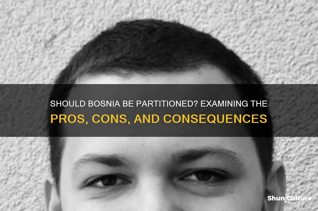 should bosnia be partitioned