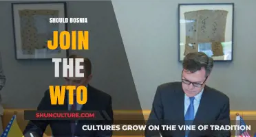 Should Bosnia Join the WTO? Pros, Cons, and Economic Implications