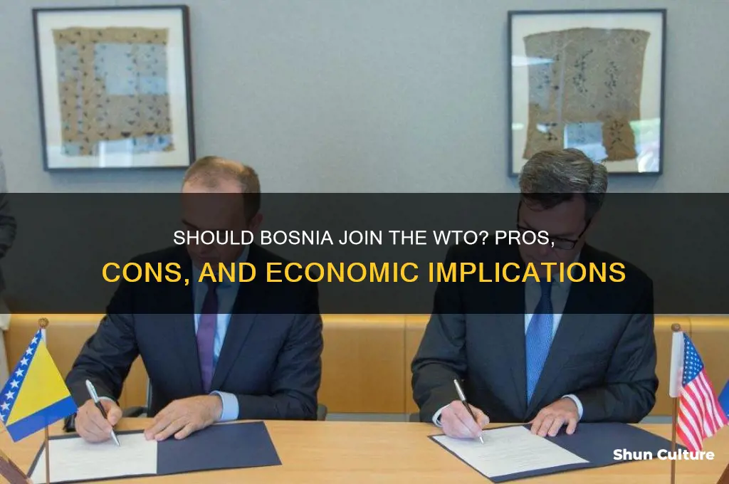 should bosnia join the wto