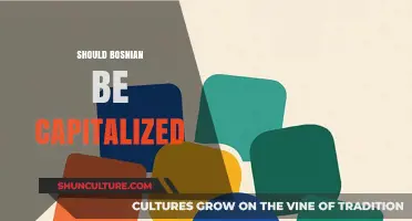 Should Bosnian Be Capitalized? Language Rules and Cultural Sensitivity Explained