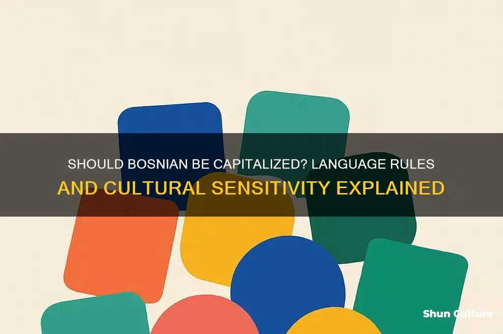 should bosnian be capitalized