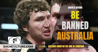 Boxing's Future in Australia: Ban or Reform?