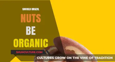 Organic Brazil Nuts: Healthier Choice or Marketing Hype?