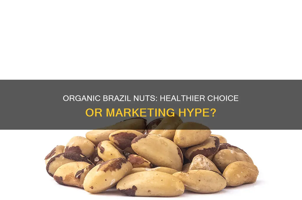 should brazil nuts be organic