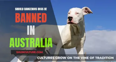 Dangerous Dogs: Ban or Better Breeding in Australia?