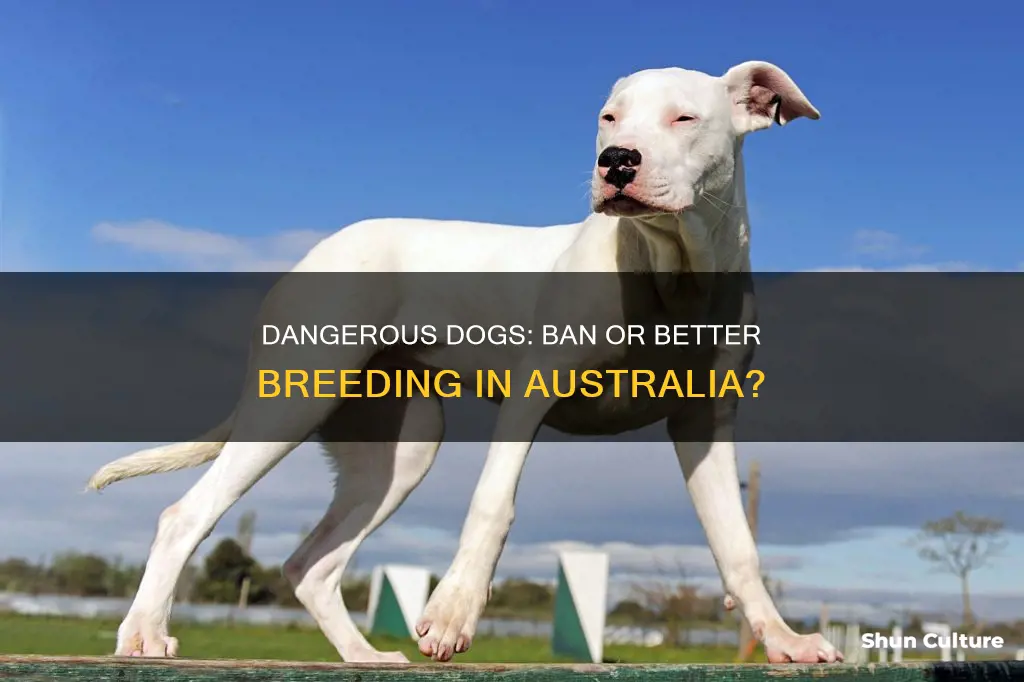 should dangerous dogs be banned in australia