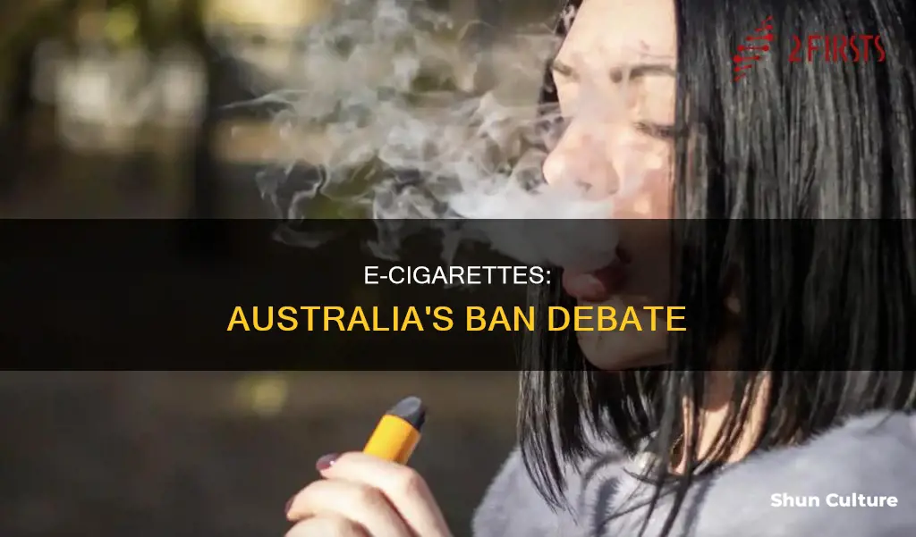 should e cigarettes be banned in australia essay