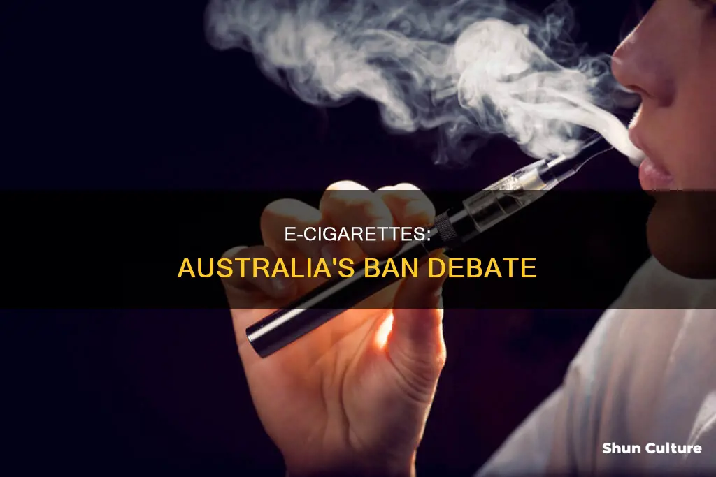 should e cigarettes be banned in australia