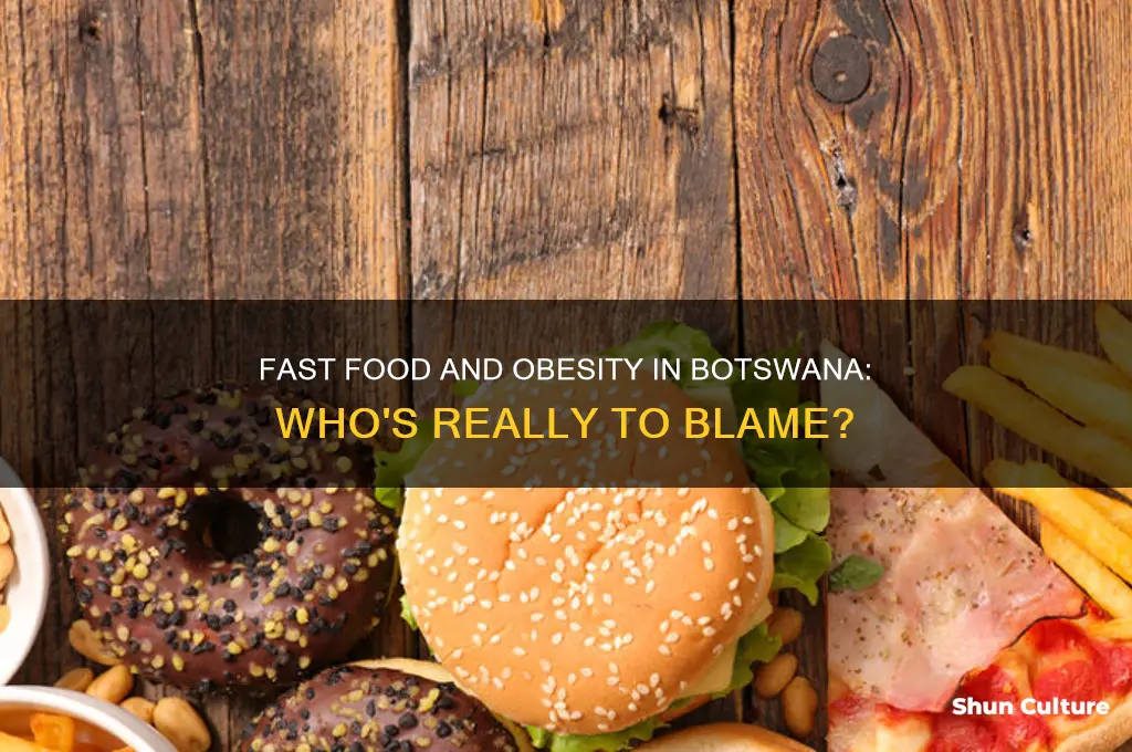 should fast food restaurants be blamed for obesity across botswana