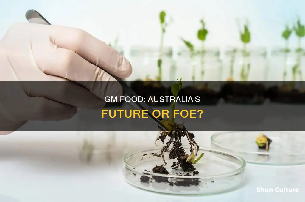 should genetically modified food be banned in australia