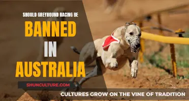 The Dark Side of Greyhound Racing in Australia