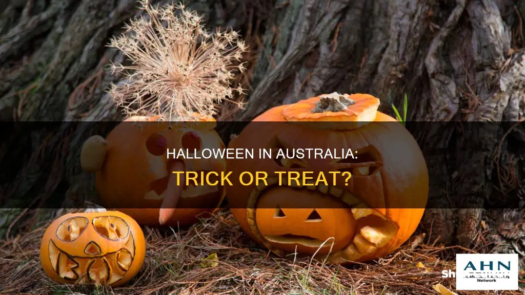 should halloween be banned in australia