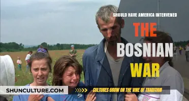 America's Moral Dilemma: Should the U.S. Have Intervened in Bosnia?