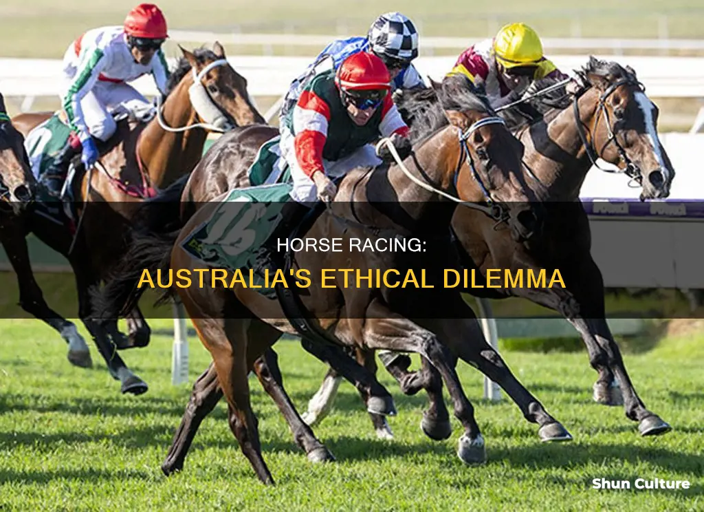 should horse racing be banned in australia