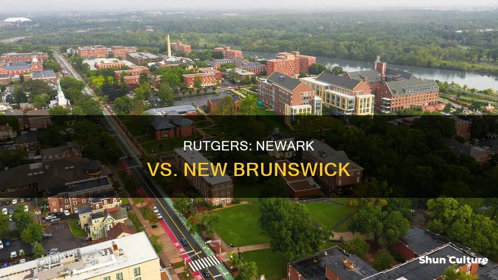 should I apply to both rutgers newark and new brunswick