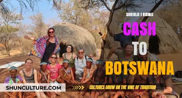 Traveling to Botswana: Cash Tips for a Smooth Safari Adventure
