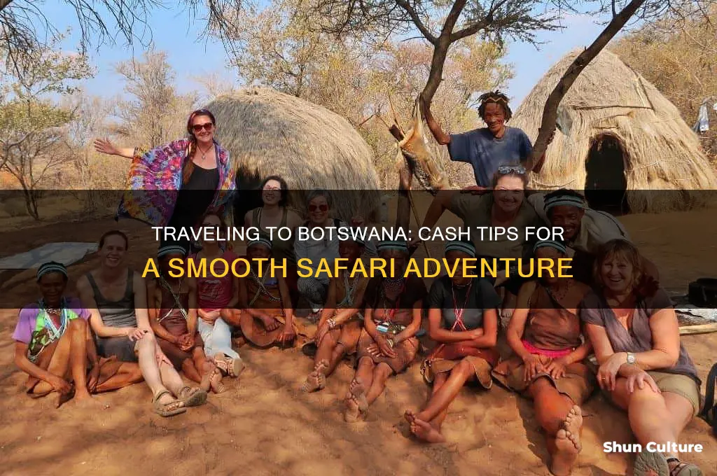 should I bring cash to botswana