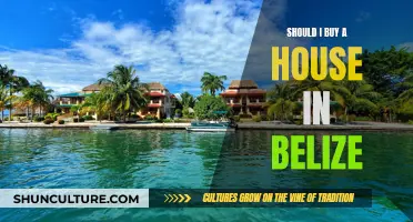 Belizean Dream or Nightmare: Navigating the Real Estate Market in Belize