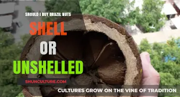 Brazil Nuts: Shell or Unshelled? Pros, Cons, and Best Choice