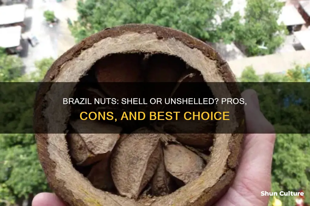 should I buy brazil nuts shell or unshelled