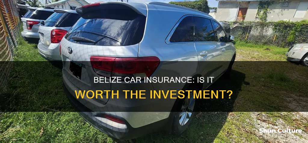 should I buy car insurance in belize