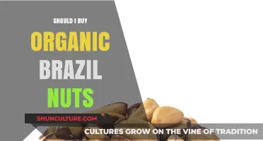 Organic Brazil Nuts: Worth the Investment for Health and Environment?