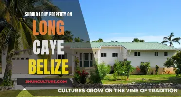 Long Caye Belize: A Tropical Paradise Worth Investing In?