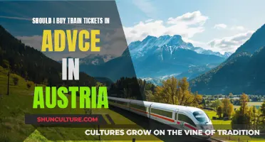 Advance Train Ticket Purchase in Austria: Worthwhile?