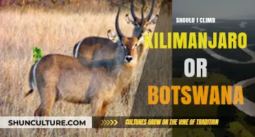 Kilimanjaro vs. Botswana: Choosing Your Ultimate African Adventure