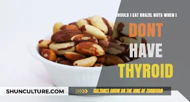 Brazil Nuts and Thyroid Health: Should You Eat Them Without Issues?