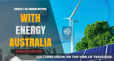 Is Going Carbon Neutral with Energy Australia Right for You?