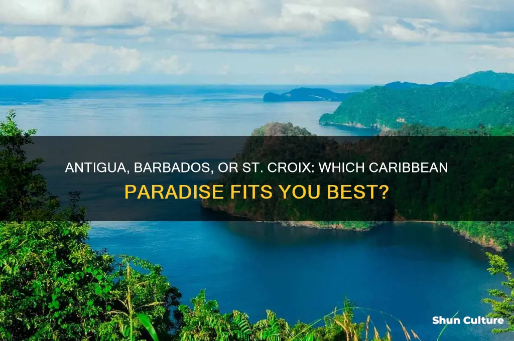 should I go to antigua barbados st croix