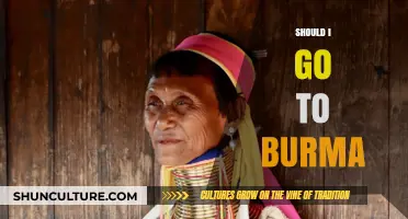 Exploring the Ethical Dilemma: Is It Right to Visit Burma?
