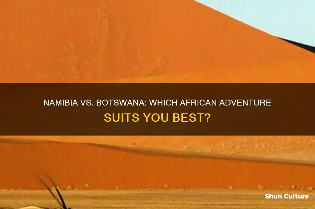 should I go to namibia or botswana