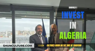 Is Algeria the Next Frontier for Smart Investors? A Deep Dive